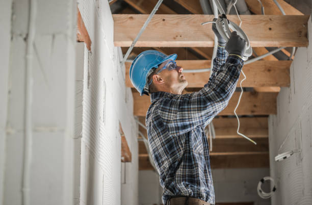 Best Electric Panel Repair  in Grand Haven, MI